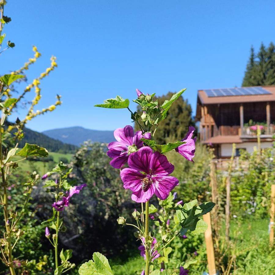 Tiny House Am Steinergut Hotel ราดชตัดท์ ภายนอก รูปภาพ